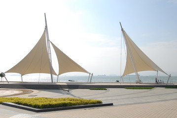 scientist英语怎么读