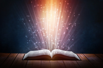 英语单词tree什么意思