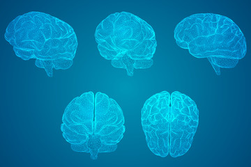 scientist英语怎么读