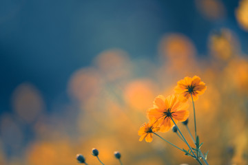 幼儿园安全教育教案与反思