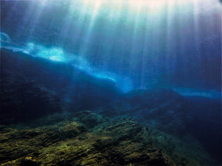 英语单词tree什么意思