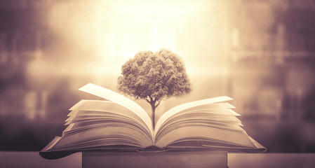 100句英语句子（谚语和名言一共一百句）<带中文翻译>