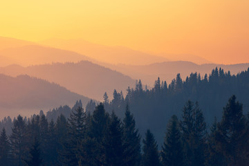 预防溺水安全知识宣传语合集