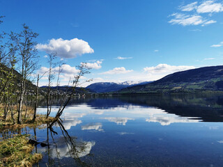 scientist英语怎么读