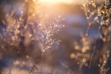 体育与健康的基础知识20个