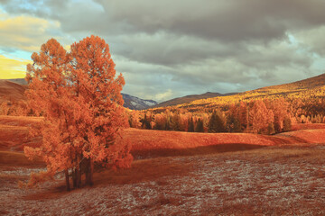 体育与健康的基础知识20个