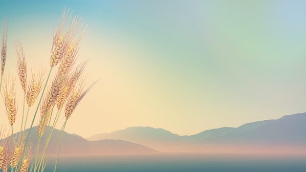 幼儿园大班冬季健康知识小常识