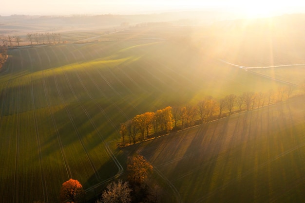 医疗行业有哪些项目