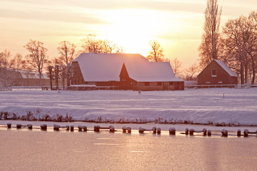 医疗行业有哪些项目