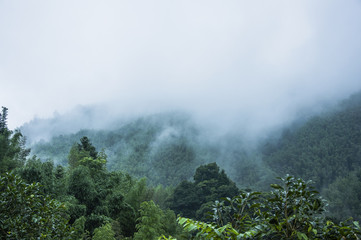 你爱的不是我,你心里还藏着谁,你爱的不是我,是否是我错了,是什么歌里的？